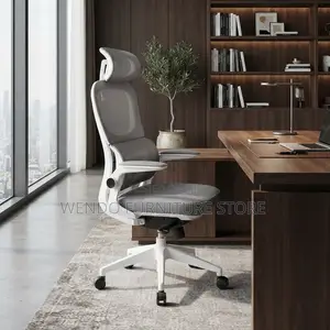 Office Chairs; Orthopedic Dynamic Support Office Chair