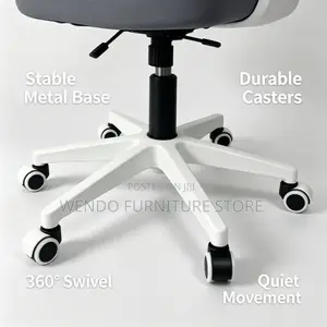 Office Chairs; Orthopedic Dynamic Support Office Chair