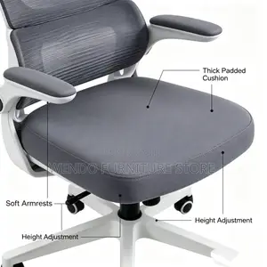Office Chairs; Orthopedic Dynamic Support Office Chair