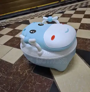 Baby Potty Training Toilet