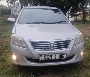 Toyota Premio 2013 Gray