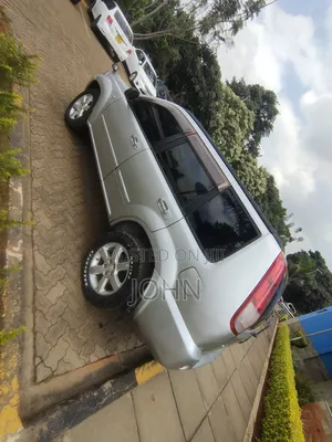 Nissan X-Trail 2006 Gray