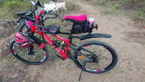 Mountain Bike and Baby Seater