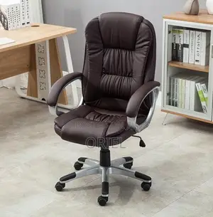 Executive Office Chair : Brown Director Chair