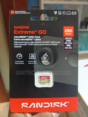 SANDISK Extreme Go 256GB Micro SDXC Card.