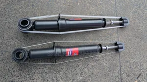 Rear Shocks Toyota NZE