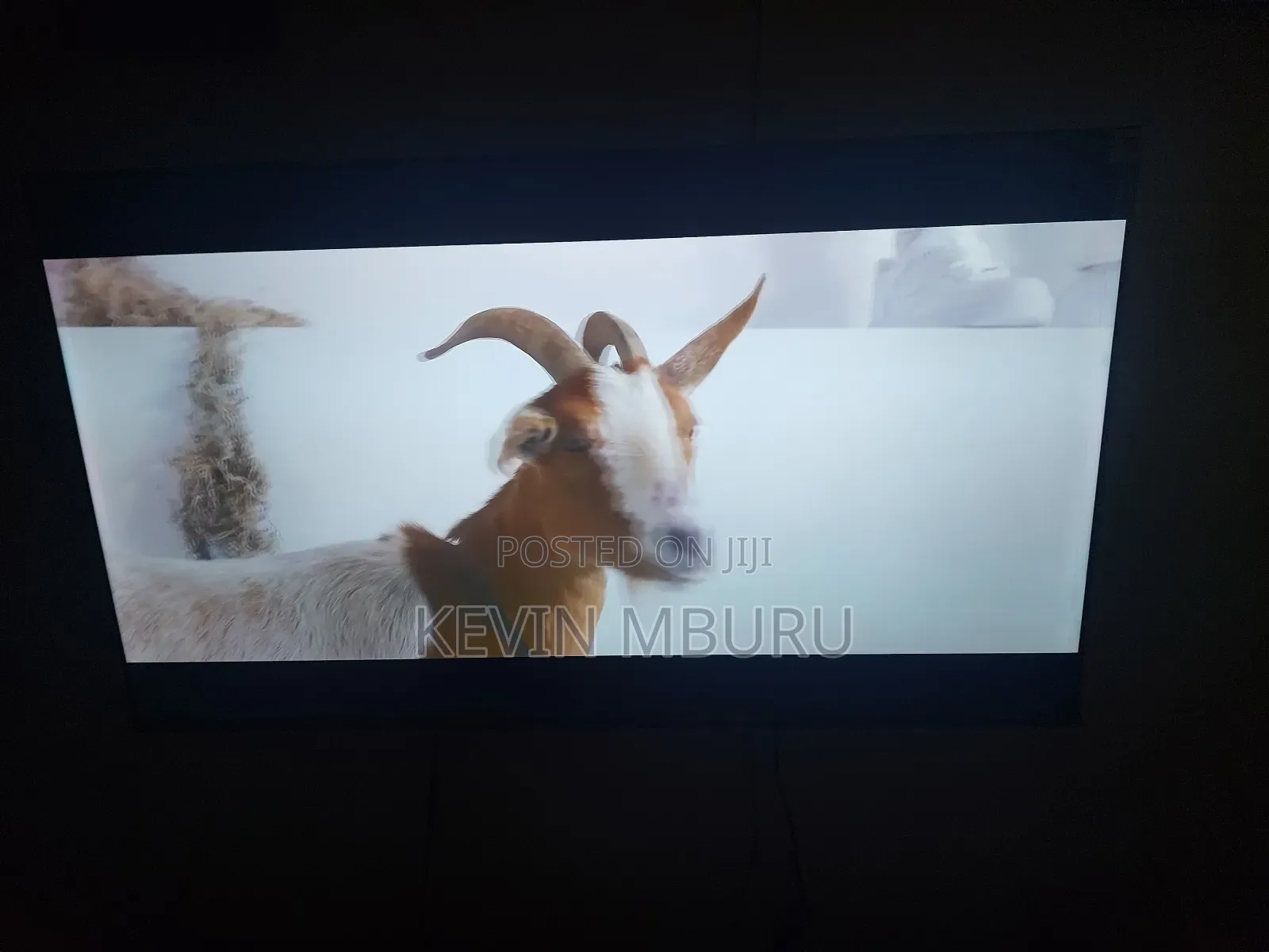 Hisense 55" Qled Q6 Series TV