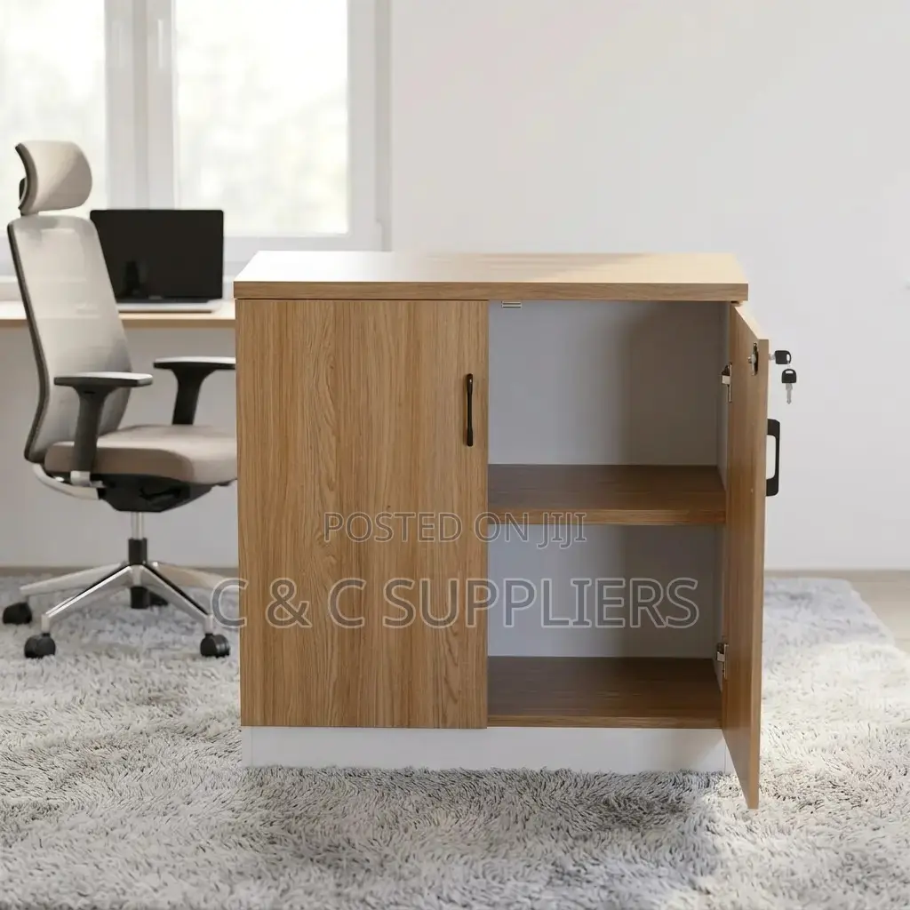 2-Door Custom Credenza Cabinet