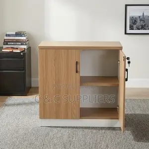 2-Door Custom Credenza Cabinet