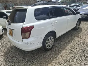 Toyota Corolla Fielder 2009 White