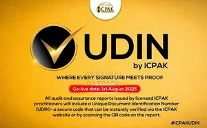 Financial Audit Services