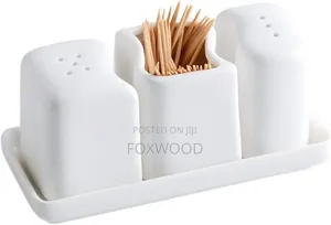 Ceramic 4pc Salt Shaker Square