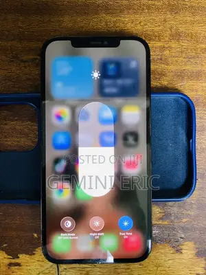 Apple iPhone 12 Pro Max 256 GB Blue