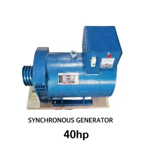 Heavy Duty 40hp Synchronous Generator/Alternator (3 Phase)