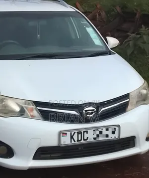 Toyota Corolla Fielder 2013 Pearl