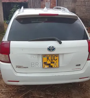 Toyota Corolla Fielder 2013 Pearl