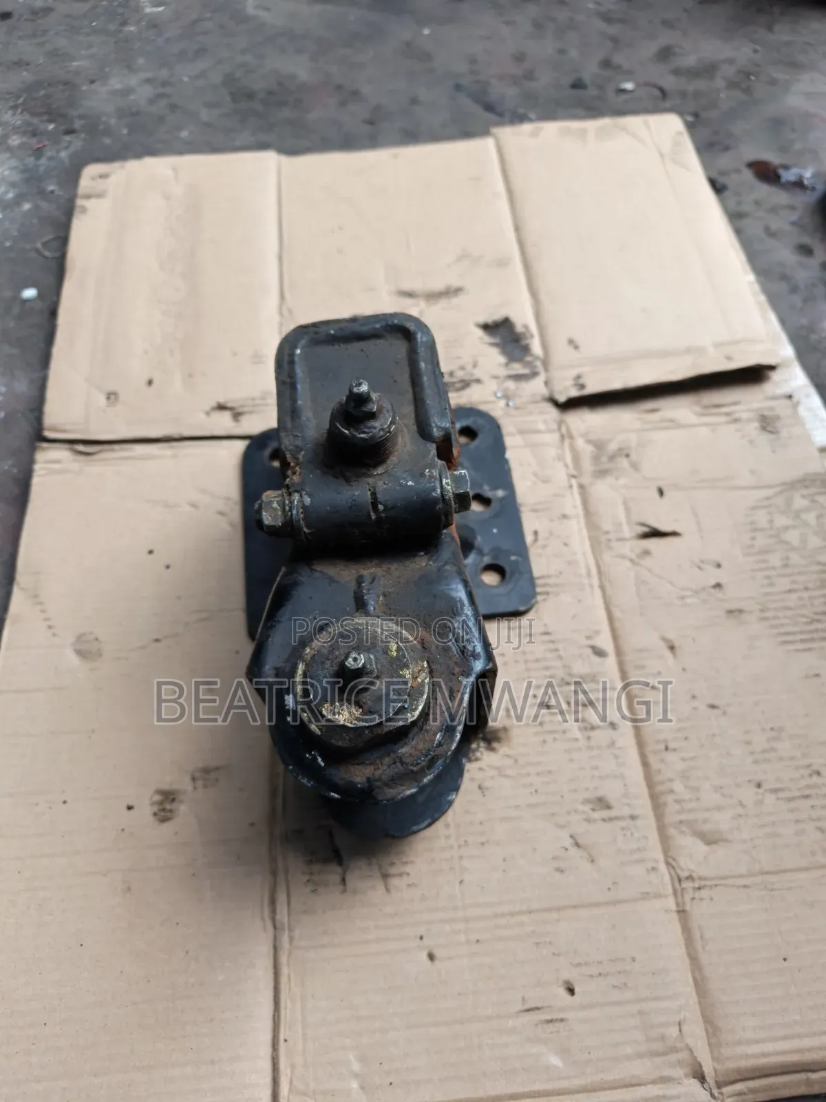 Hunger Canter