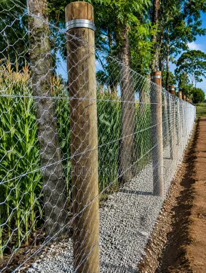 Heavy-Duty Chain Link Fence With Razor Wire | Security Fencing