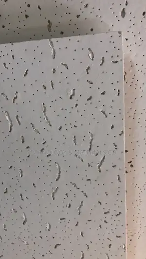 Acoustic Ceiling Tiles -600x600mm (Price Per SQM Incl. Of Accessories)