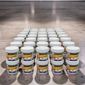 Trade` 20L30L,40L Ruff N Tuff Wall Master Textured Paints