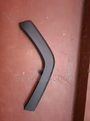 Rear Arc Moulding Rav4 2019