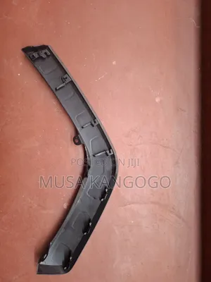Rear Arc Moulding Rav4 2019