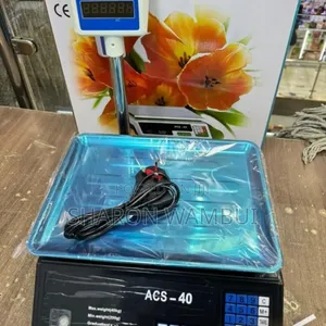 ACS 40 Price Computing Scale/New ACS Hand Digital Computing Scale