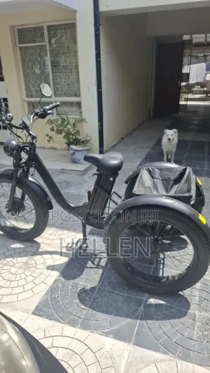 Black Electric Bike Tricycle