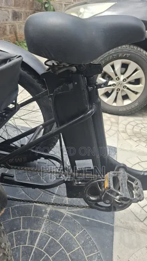 Black Electric Bike Tricycle