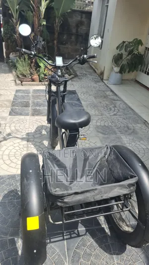 Black Electric Bike Tricycle