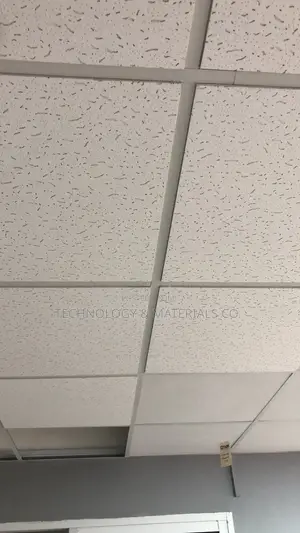 Acoustic Ceiling -for Offices,showrooms,hospitals,schools