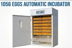 Fully Automatic Incubator for 1056 Eggs