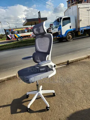 Stylish and Smart Orthopedic Office Chair