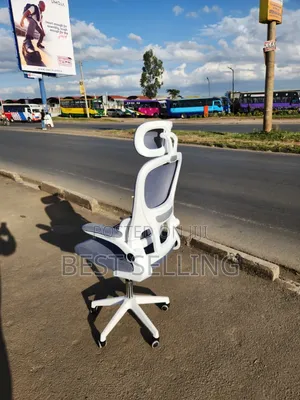 Stylish and Smart Orthopedic Office Chair