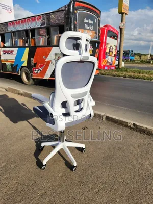 Stylish and Smart Orthopedic Office Chair