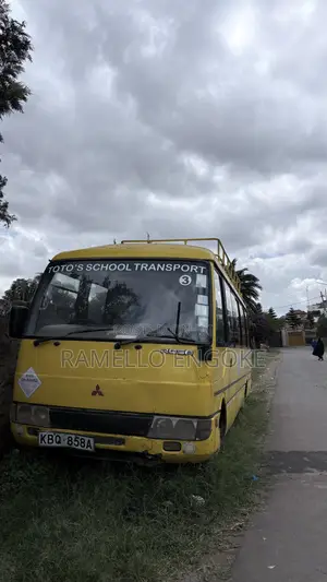 Mitsubishi Fuso Rosa 2005 Yellow
