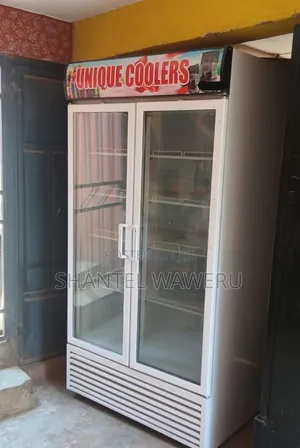 Commercial Glass Door Refrigerator 2 Door
