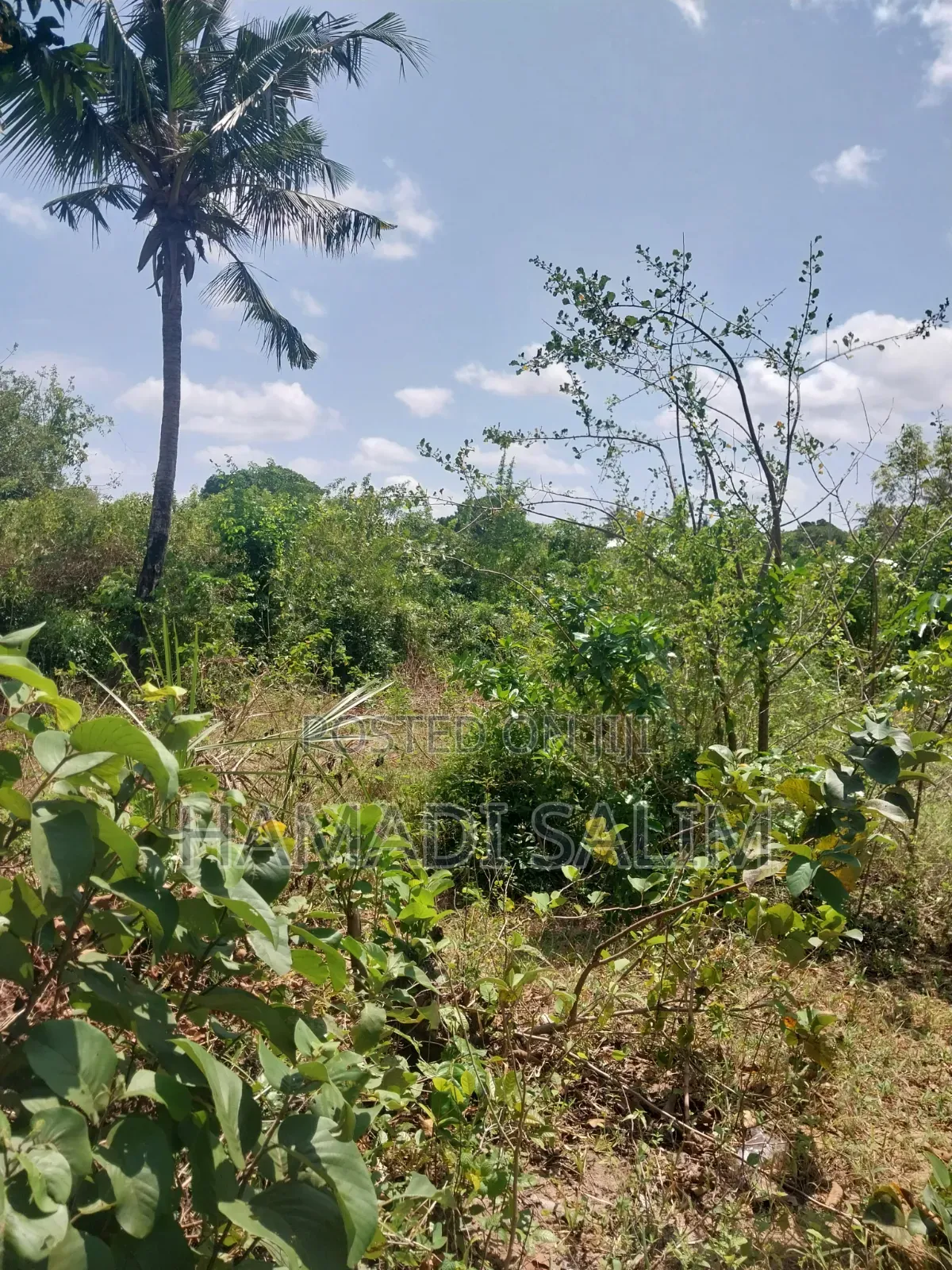 1 Acre Plot for Sale - Tiwi