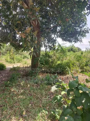 1 Acre Plot for Sale - Tiwi