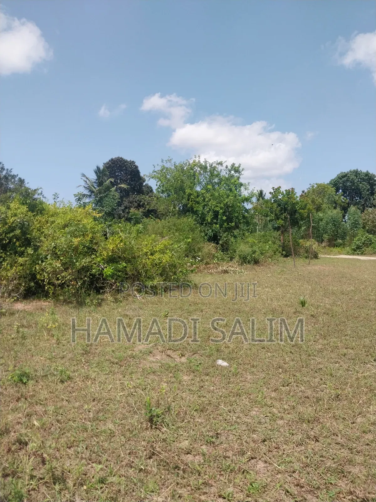 1 Acre Plot for Sale - Tiwi