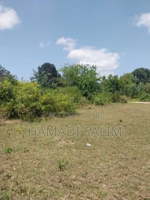 1 Acre Plot for Sale - Tiwi
