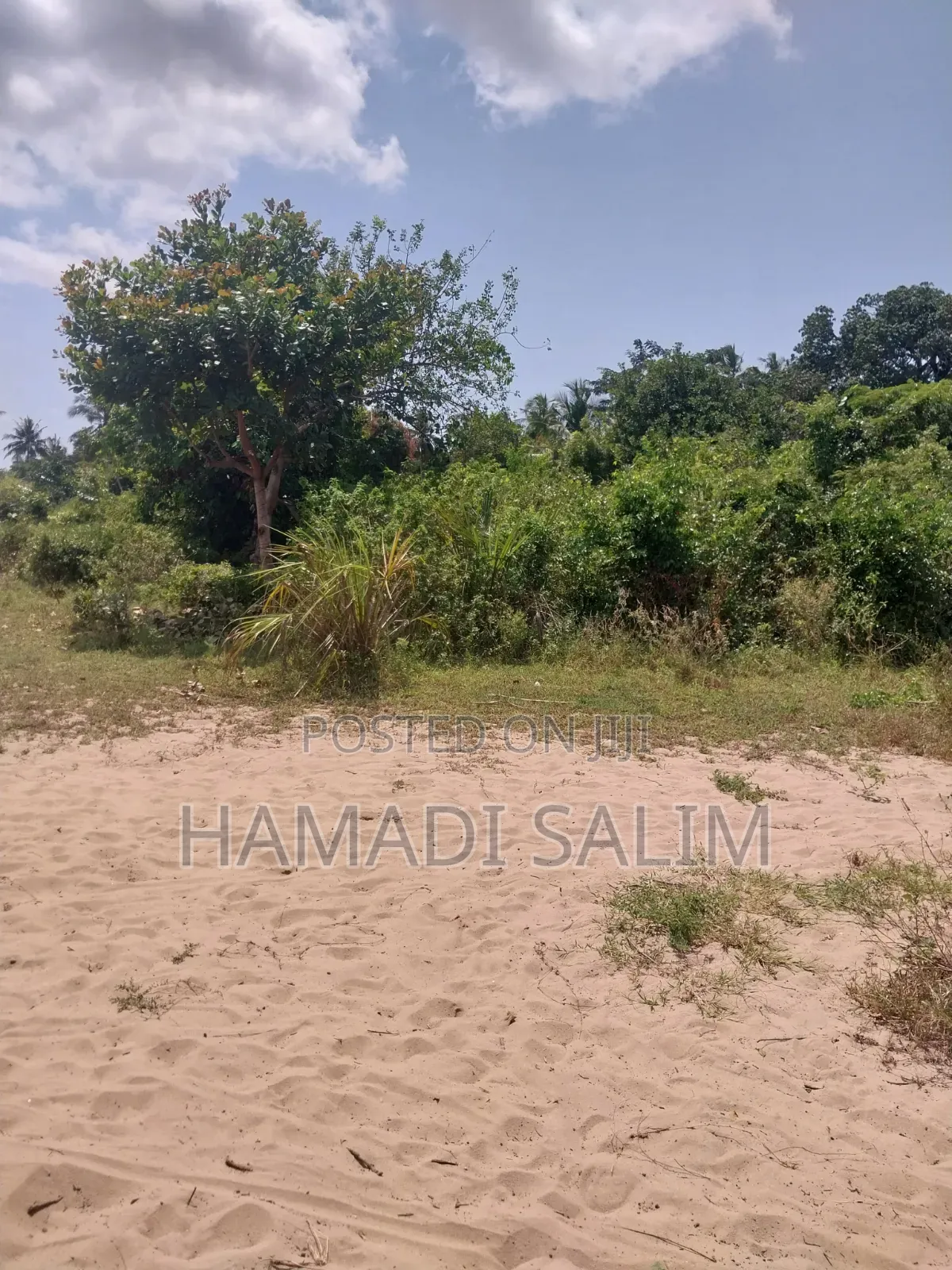 1 Acre Plot for Sale - Tiwi