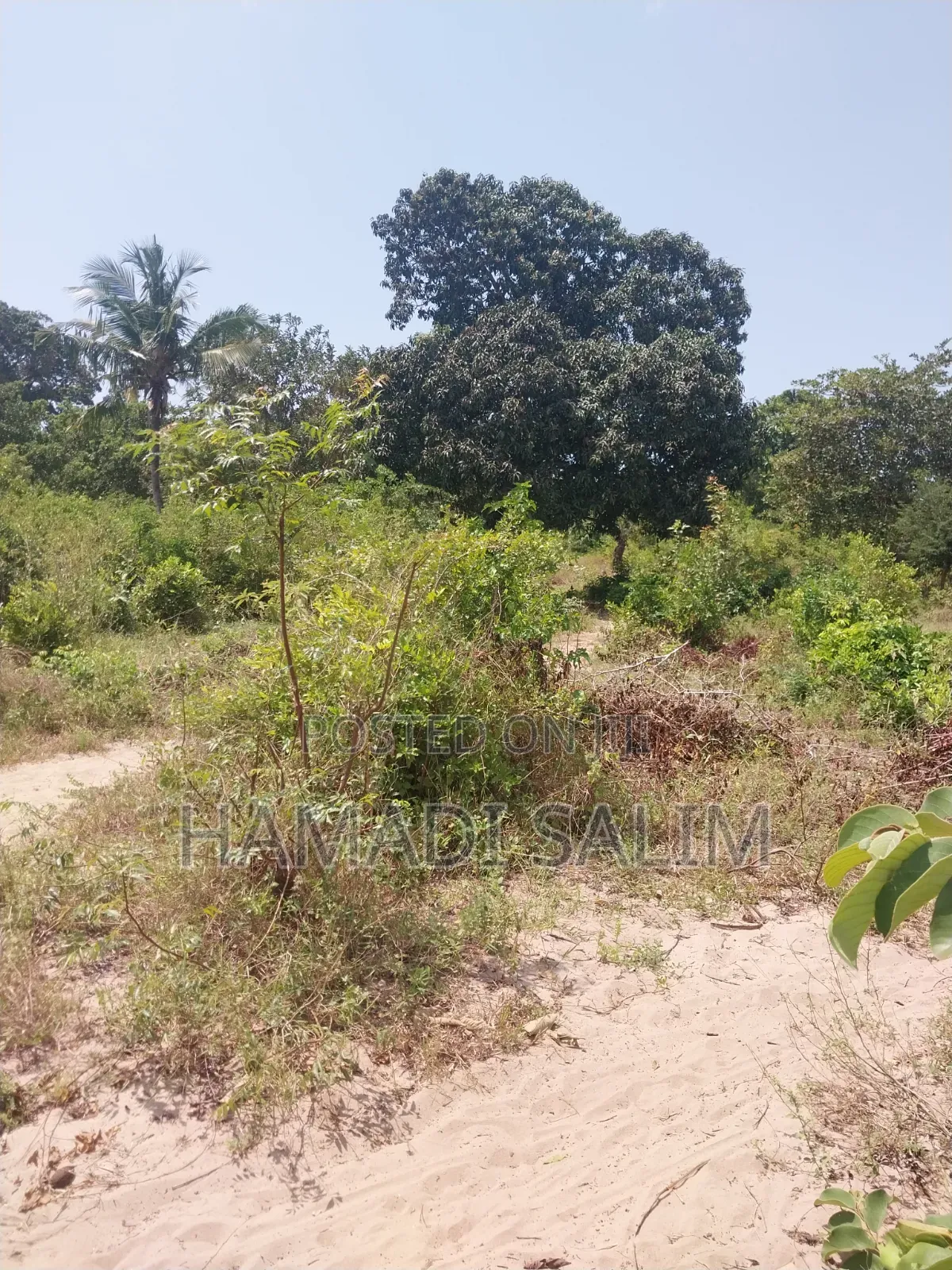 1 Acre Plot for Sale - Tiwi