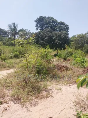 1 Acre Plot for Sale - Tiwi