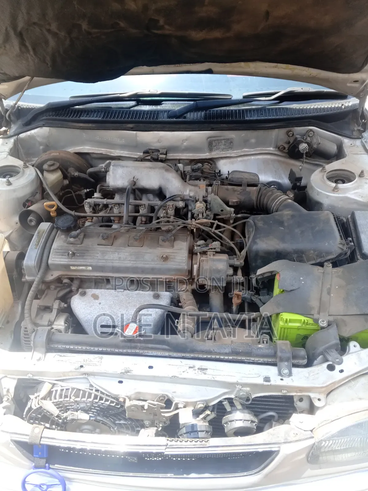 Toyota Corolla 1996 Pearl