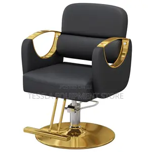 Salon Chair Styling Chair Gold Edition
