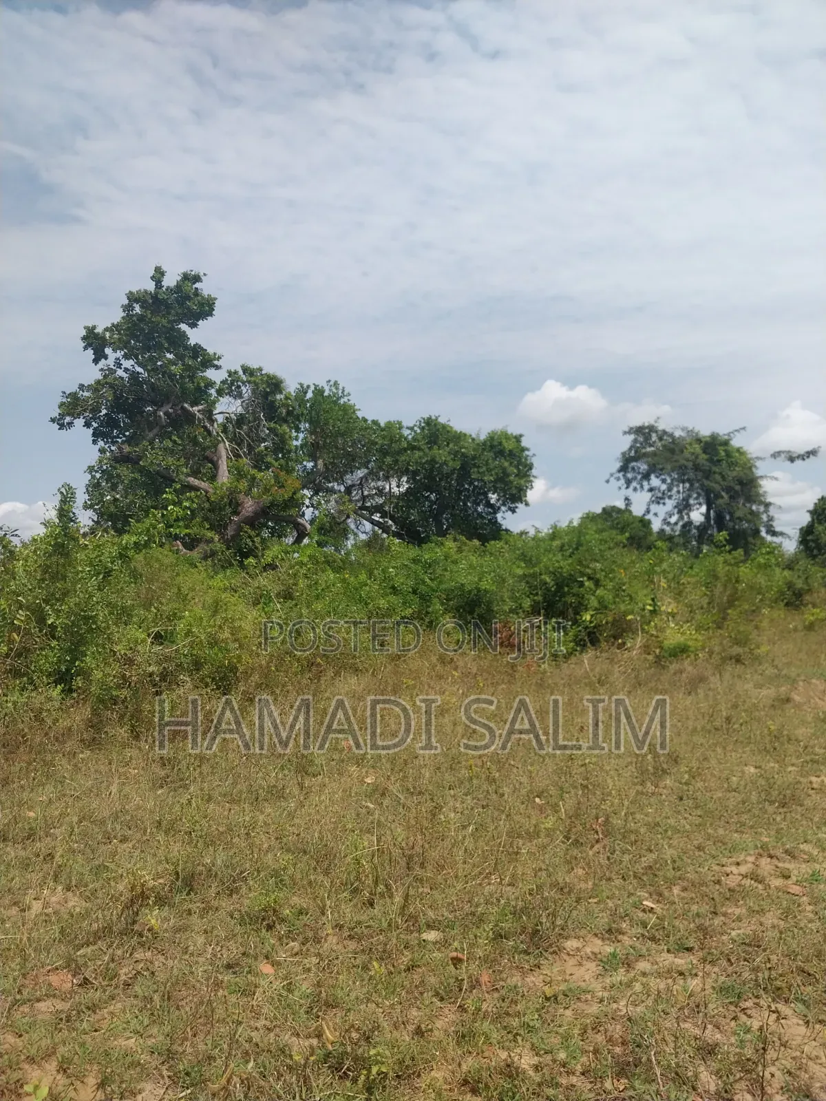 A One a Half Acre for Sale - Tiwi