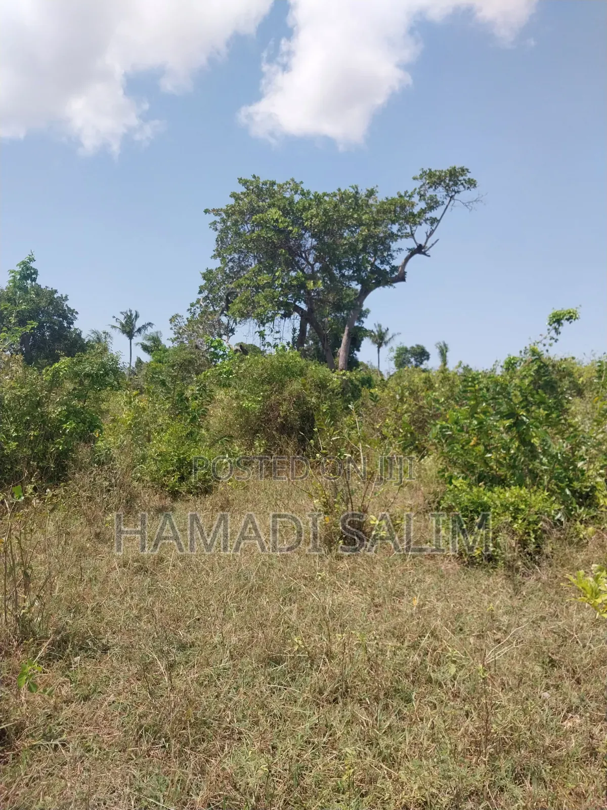 A One a Half Acre for Sale - Tiwi