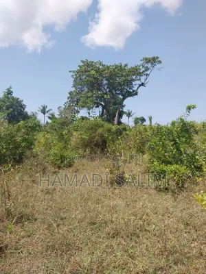 A One a Half Acre for Sale - Tiwi