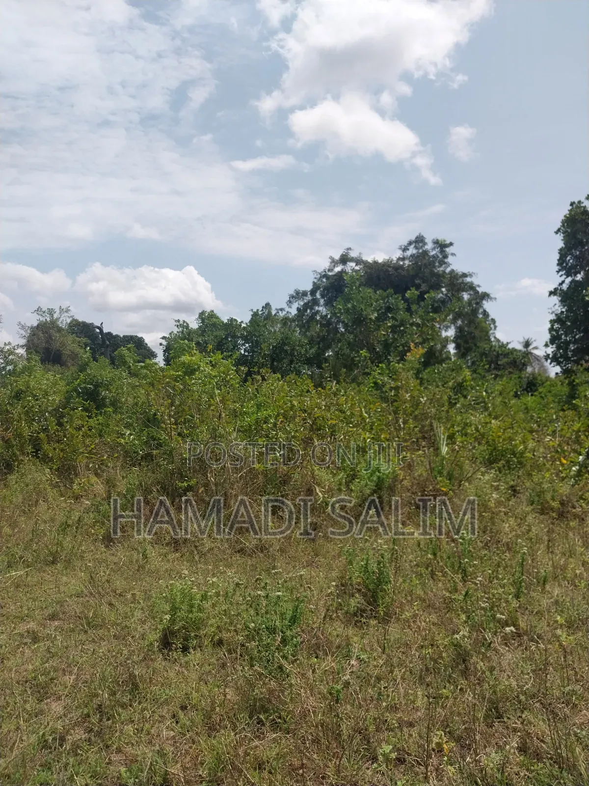 A One a Half Acre for Sale - Tiwi